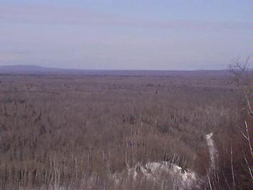 What a view!