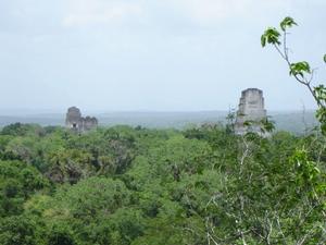 Tikal National Park - Guatemala 2008